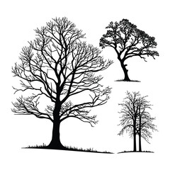 Obraz premium Set of Hand Drawn Tree Silhouettes - Vintage Nature Illustration Collection .