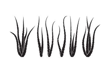 Aloe Vera Plant Collection Silhouettes
