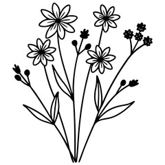 flowers on a white background