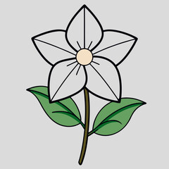 vector illustration of a flower
