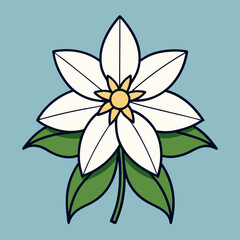 lily flower isolated on white background