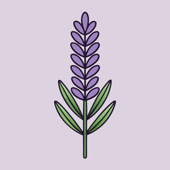 lilac branch isolated on white background