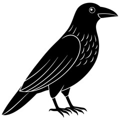crow on a white background
