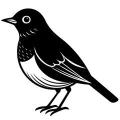 crow on a branch