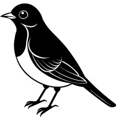 bird on a branch
