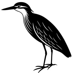 heron on a black background