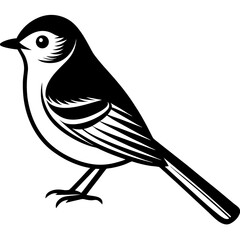 bird on branch