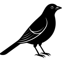 bird on a branch