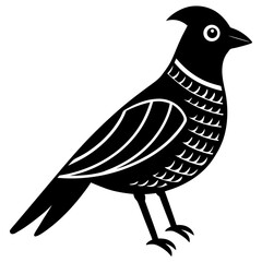 bird on a white background