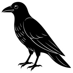 crow on white