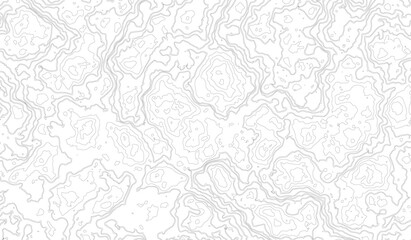 Obraz premium topographic map vector, imaginary landscape , black lines on white background. Topographic map. Vector background. Vector illustration
