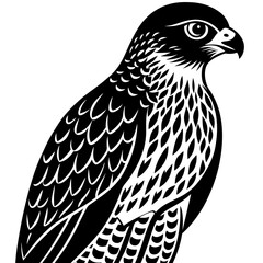 bird of prey
