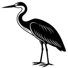 great blue heron