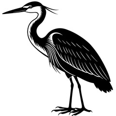 heron silhouette isolated on white