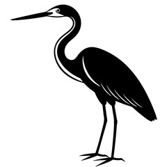 heron on a beach
