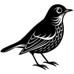 bird on a branch