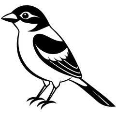 bird on a branch