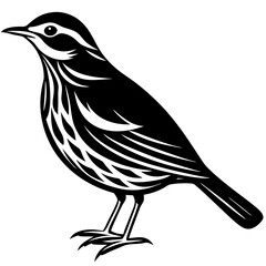 bird on a branch
