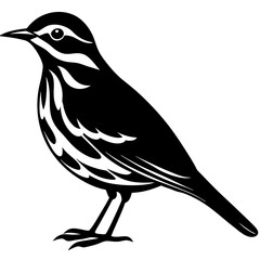 Obraz premium bird on a branch