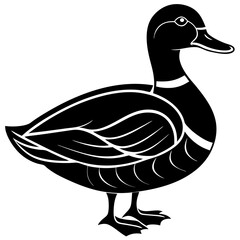duck on white
