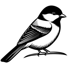 bird on a branch of tree