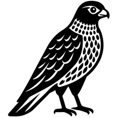 bird on a white background