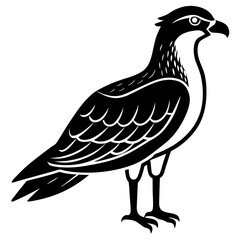 eagle cartoon isolated on white