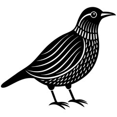 vector illustration of a bird