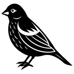 bird on a branch