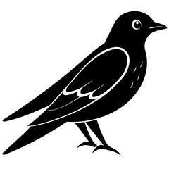 bird on a branch