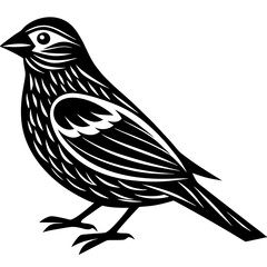 sketch of a bird