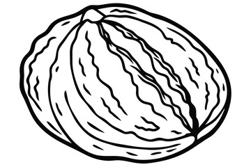 Black and white vector illustration of a whole walnut with visible ridges