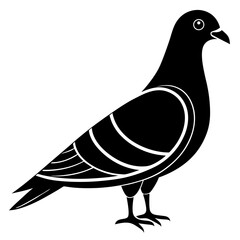 vector illustration of dove