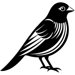 bird on a branch