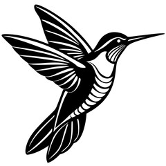 hummingbird vector illustration