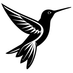 black and white dove