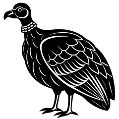 black and white bird