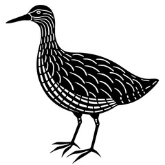 hand drawn vector illustration of a bird