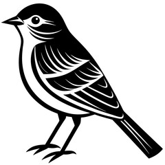 bird on a branch