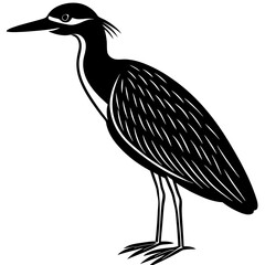 heron on a white background