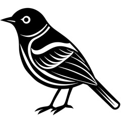 bird on a white background