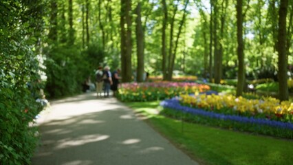 Obraz premium Blurred group walking on park pathway with colorful flowers surrounding in vibrant springtime scene under lush green trees with bright sunlight creating a peaceful ambiance.