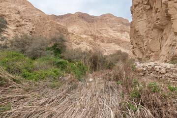 The extraordinary  splendor of nature in Arugot Stream Nature Reserve near the Dead Sea in southern Israel