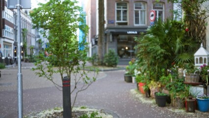 Defocused view of a european street with blurred plants and buildings, capturing urban charm and greenery under soft daylight.