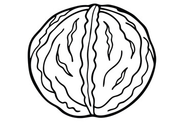 Simple Black and White Line Drawing of a Whole Walnut with Shell Detailing