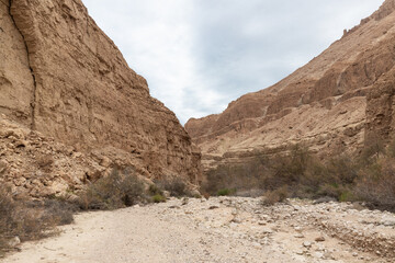 The extraordinary  splendor of nature in Arugot Stream Nature Reserve near Dead Sea in the southern Israel