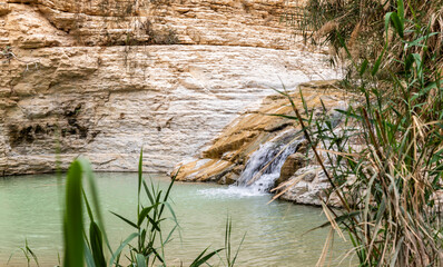 A small  lake with waterfall in the Arugot Stream Nature Reserve near Dead Sea in southern Israel