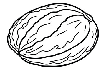 Artistic Black and White Line Drawing of a Coconut with Detailed Texture