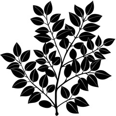 black and white background