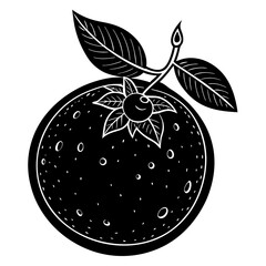 vector illustration of an apple